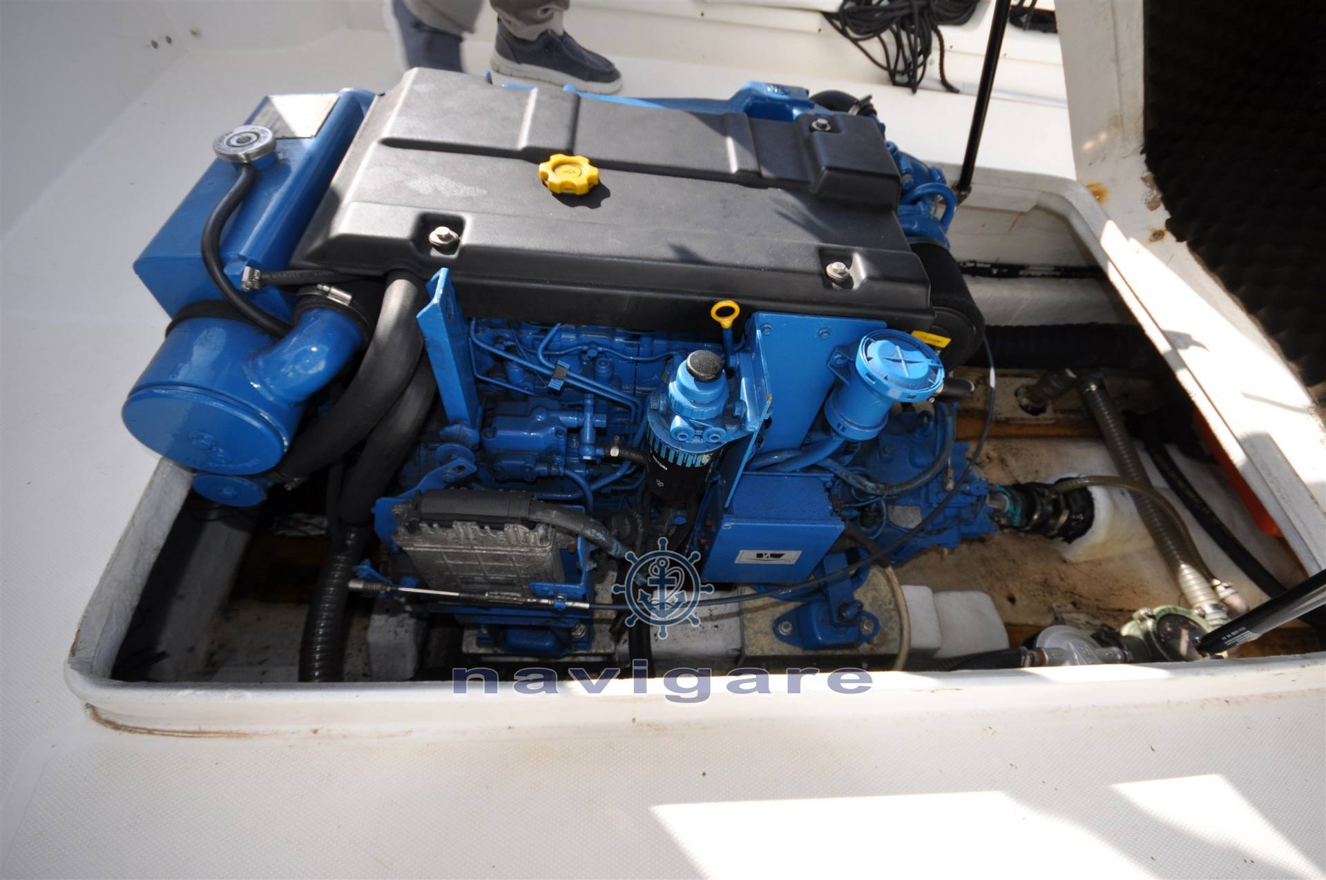 Royal yacht group Harpoon 255 walkaround usato