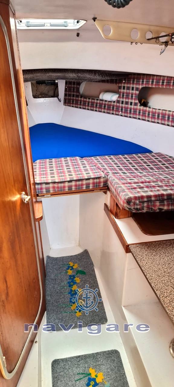 Tuccoli ivano T 25' moby dick tournament cabin 