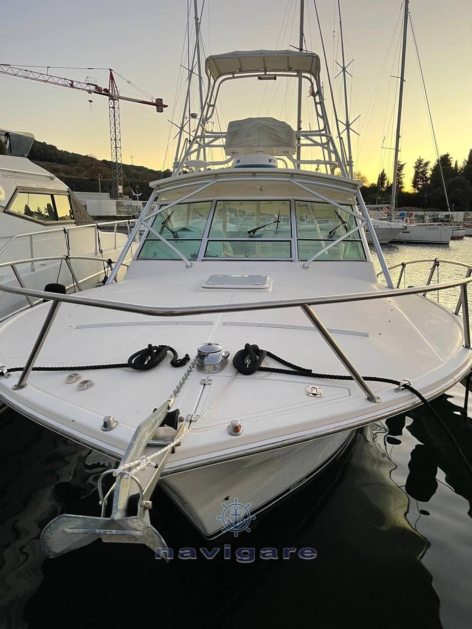 Carolina classic Cc 32 صور