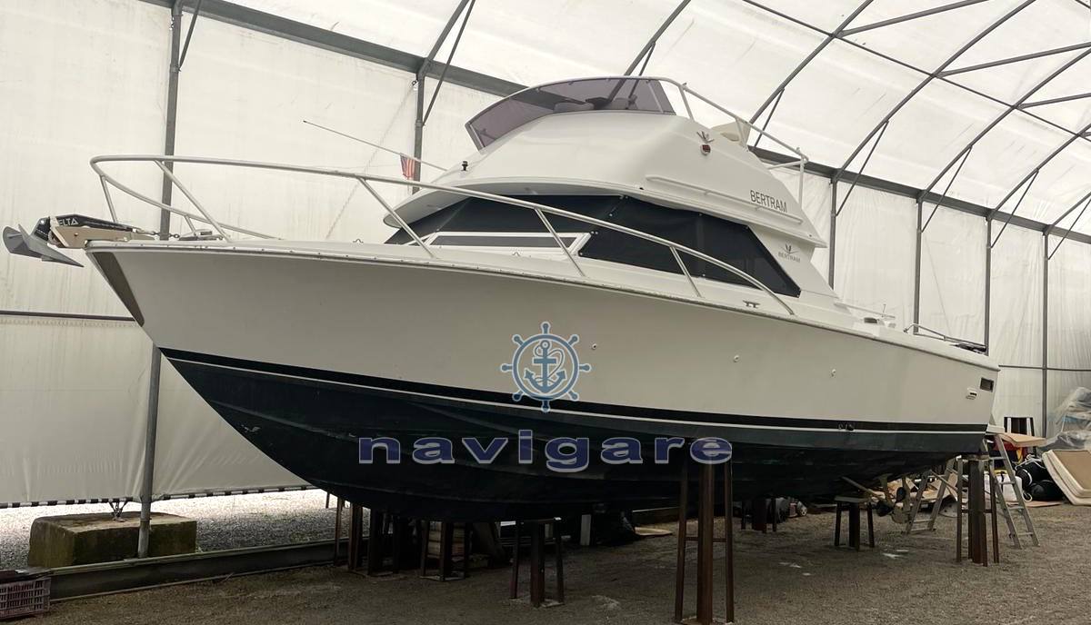 Bertram yacht 28' sf يستخدم