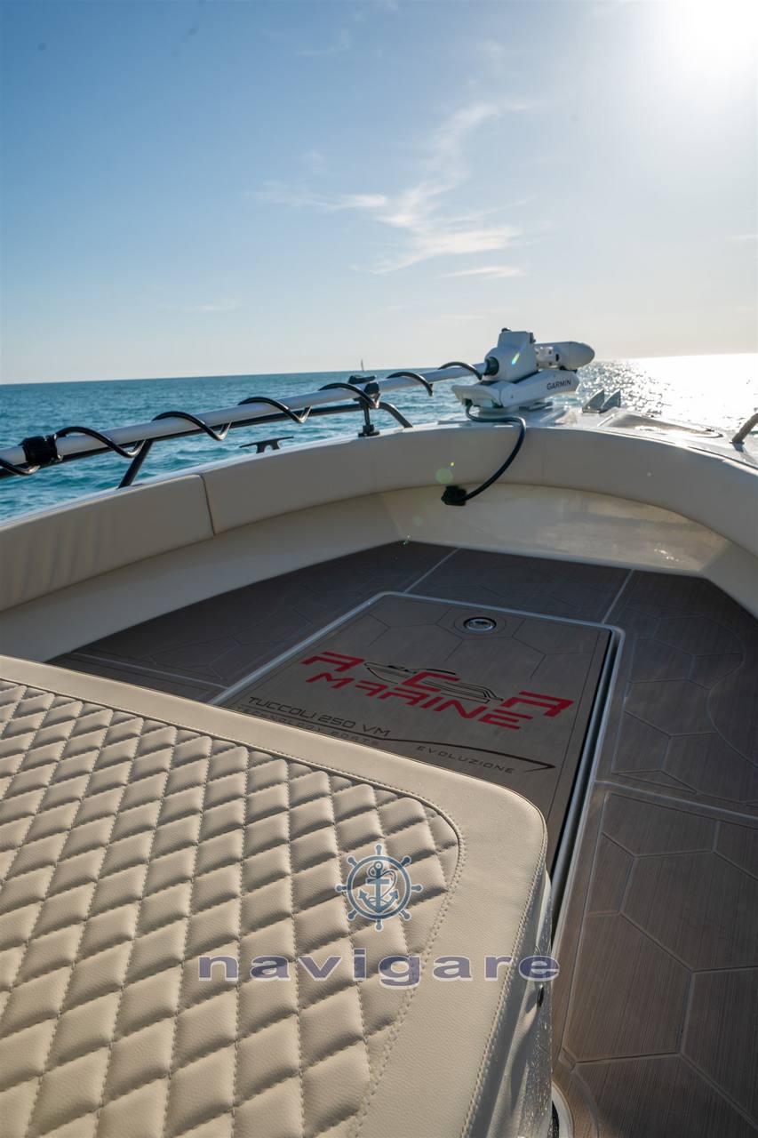 Tuccoli marine T250 vm evoluzione Croiseur de jour occasion