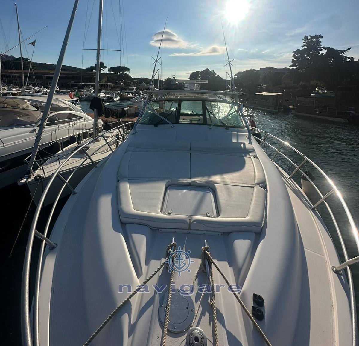 Bertram yacht 360 moppie