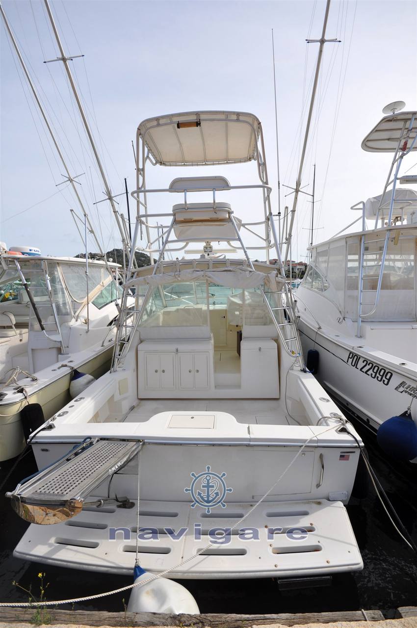 Carolina classic Cc 32