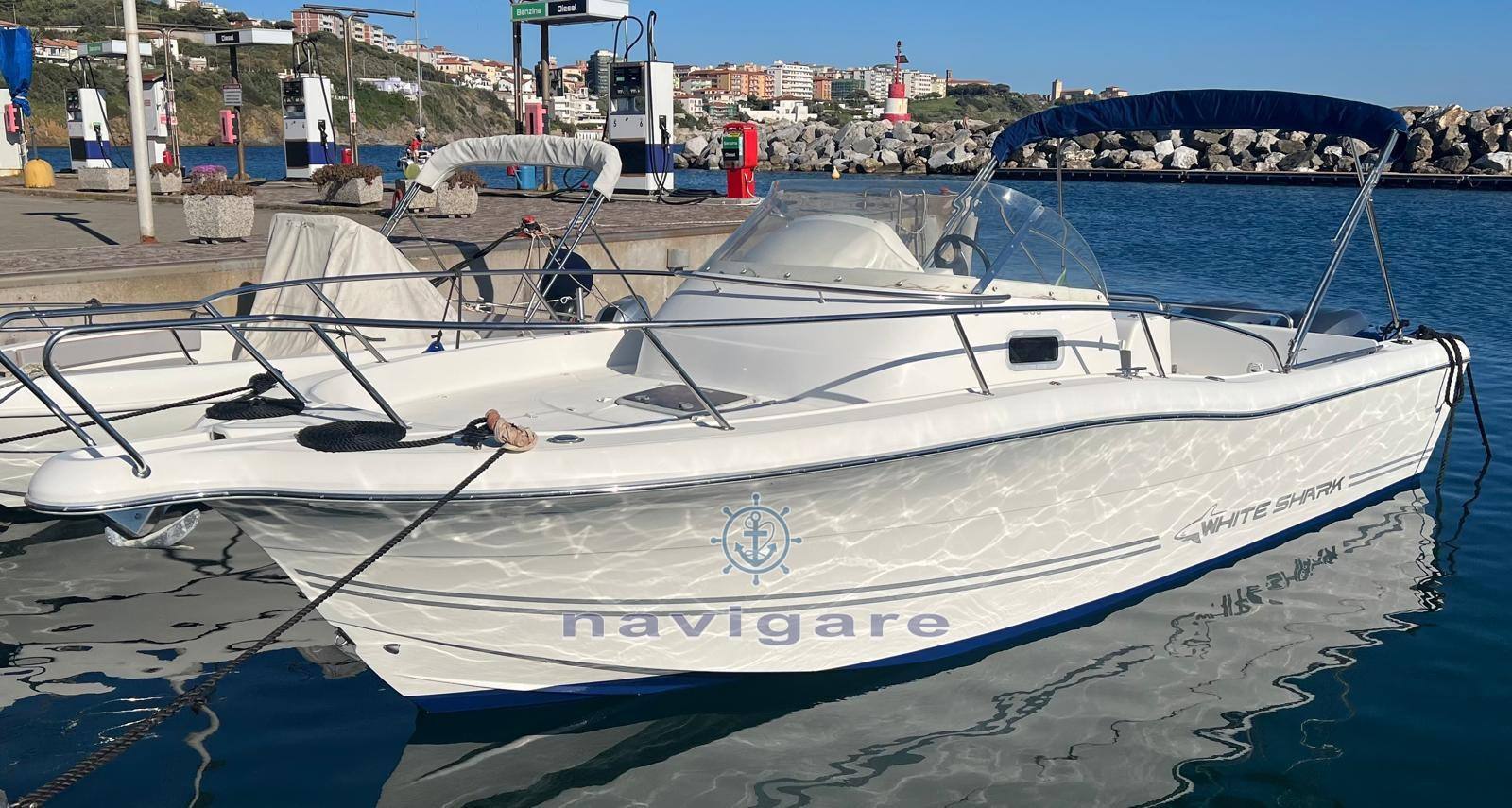 Kelt White shark 268