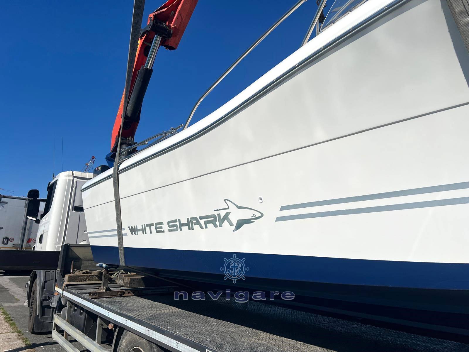 Kelt White shark 268