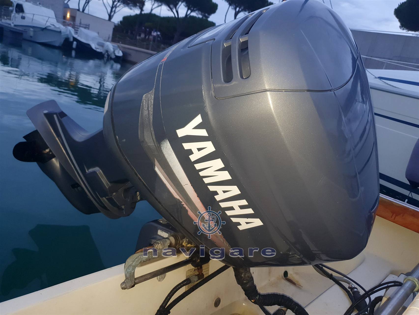 Boston whaler 20 revenge