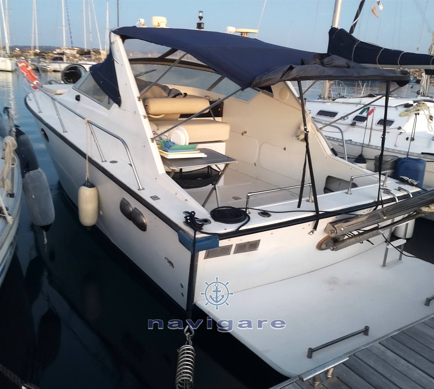 Fiart mare Aster 31