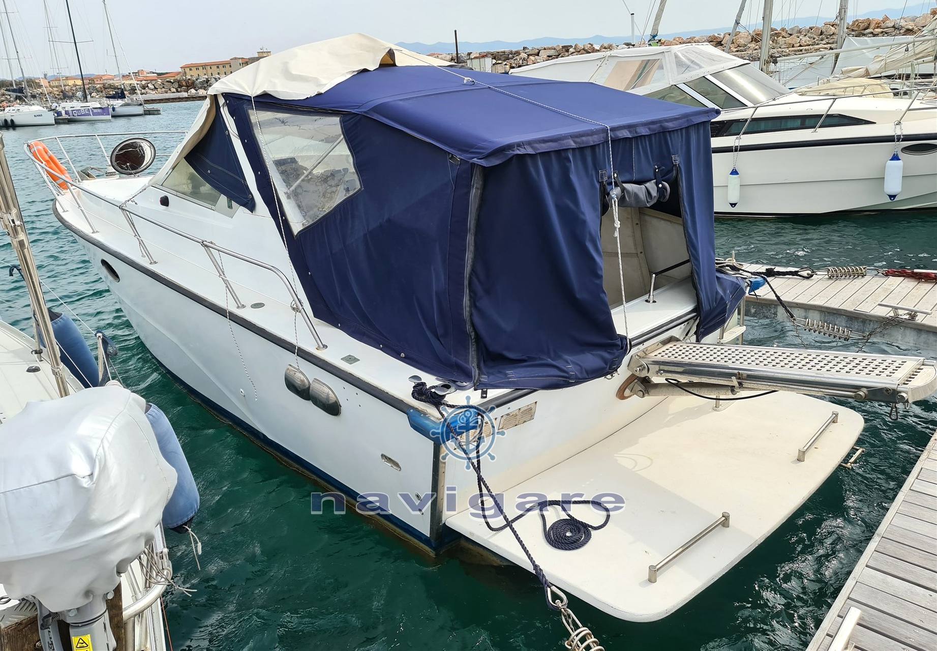 Fiart mare Aster 31