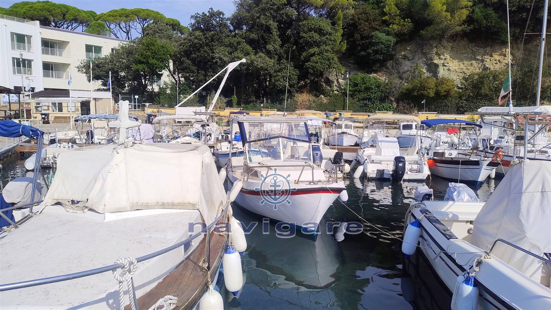 Gavazzi luciano Alga 6