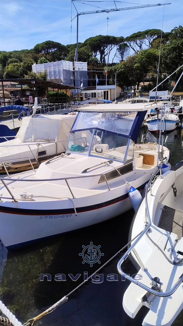 Gavazzi luciano Alga 6