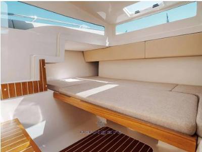 Tuccoli marine T250 vmax