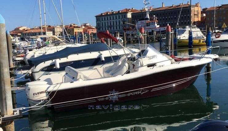 Kelt White shark 248 sundeck barca a motore