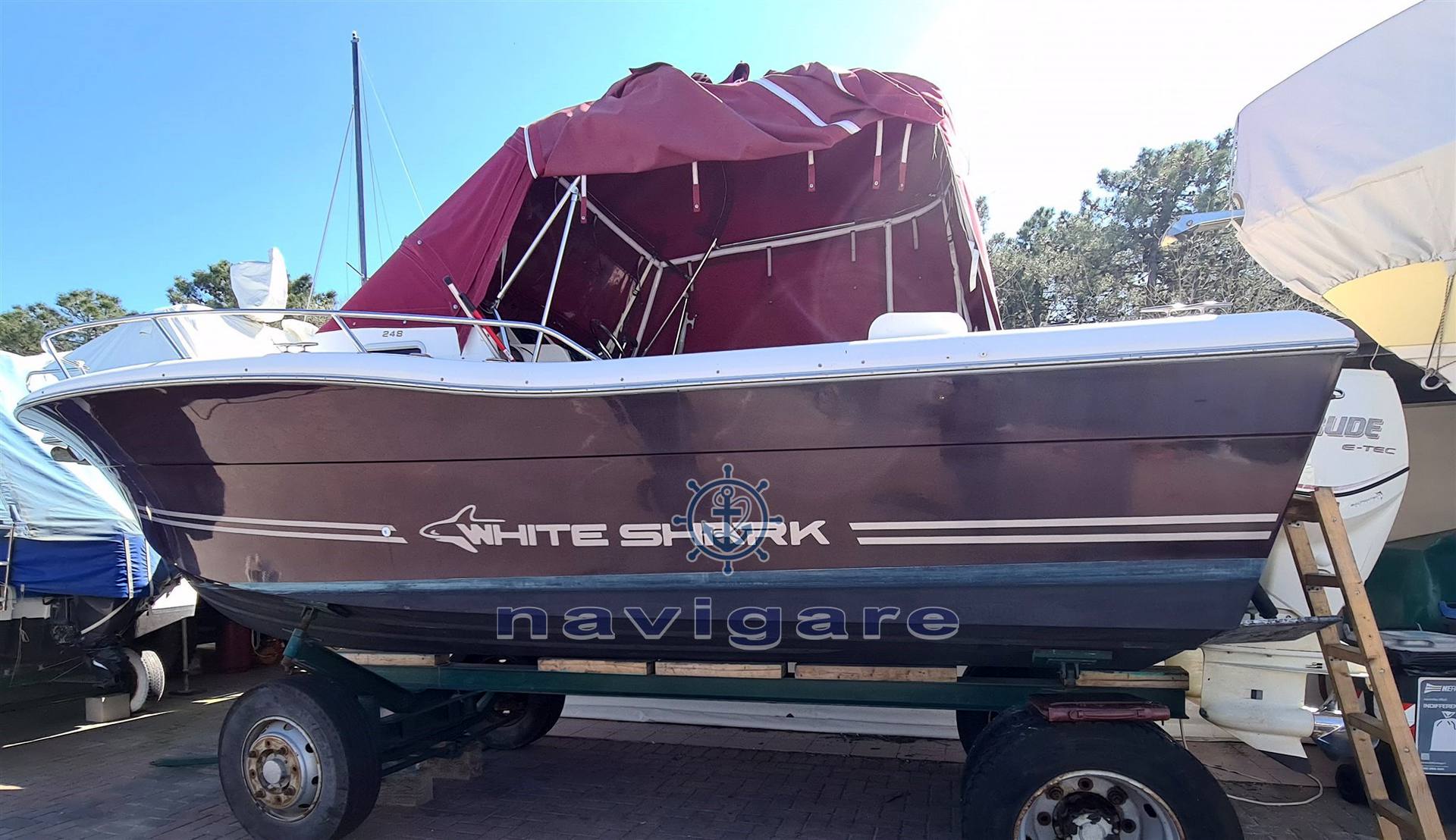 Kelt White shark 248 sundeck bateau à moteur