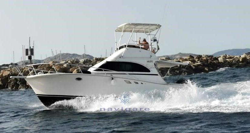 Luhrs 32 convertible Flybridge usato