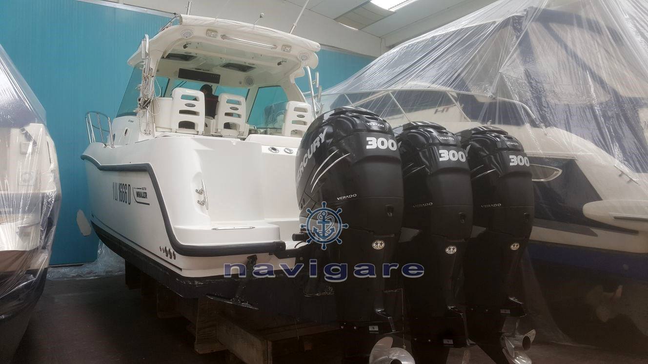 Boston whaler 345 conquest Otros