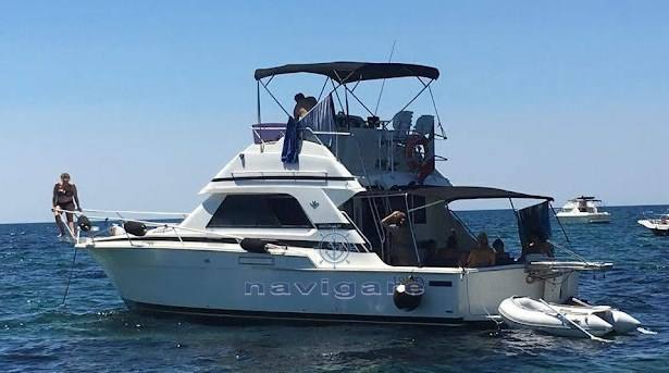 Bertram yacht 37' sf Barca a motore usata in vendita