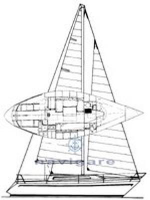 Zuanelli Miller 31 Cruiser