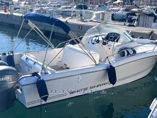 Kelt White shark 268