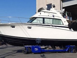 Bertram 38' sport fish mk 3