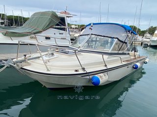 Boston whaler 20 revenge