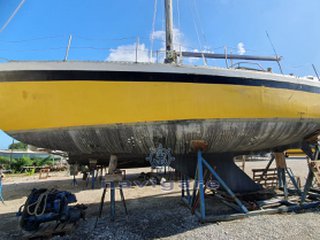 Cantieri del serchio Stratos 12