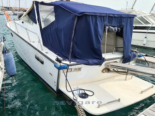 Fiart mare Aster 31