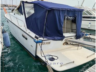 Fiart mare Aster 31