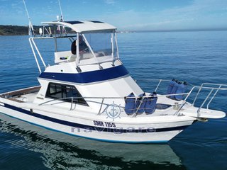 Sette mari F 27 fly america