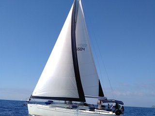 Zuanelli Miller 31