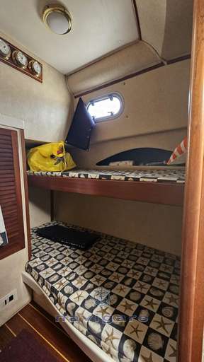 Plastik Plastik SPACE 310 CRUISER