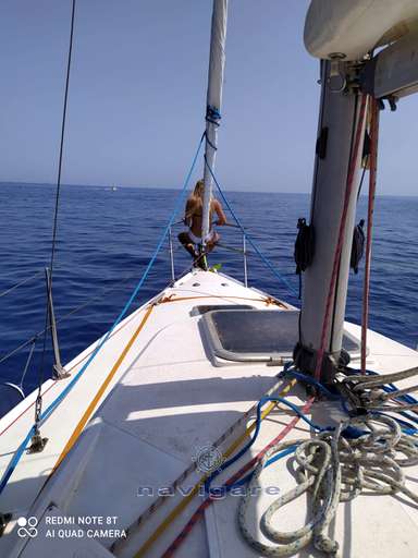 Zuanelli Zuanelli MILLER 31