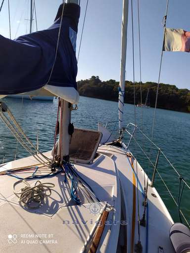 Zuanelli Zuanelli MILLER 31