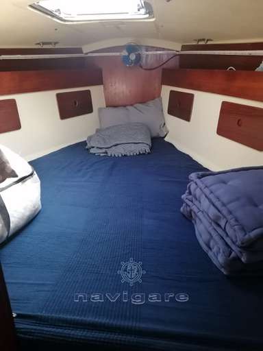 Zuanelli Zuanelli MILLER 31