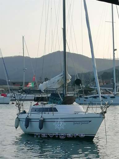 Zuanelli Zuanelli MILLER 31