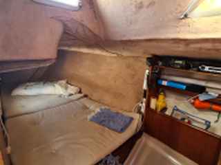 Beneteau First 30 e - Foto 10