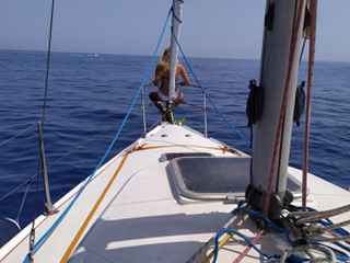 Zuanelli MILLER 31 от 1981