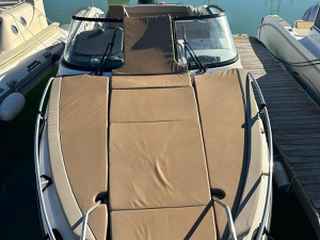 Quicksilver Activ 805 Cruiser от 2022