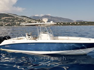 Boston whaler 320