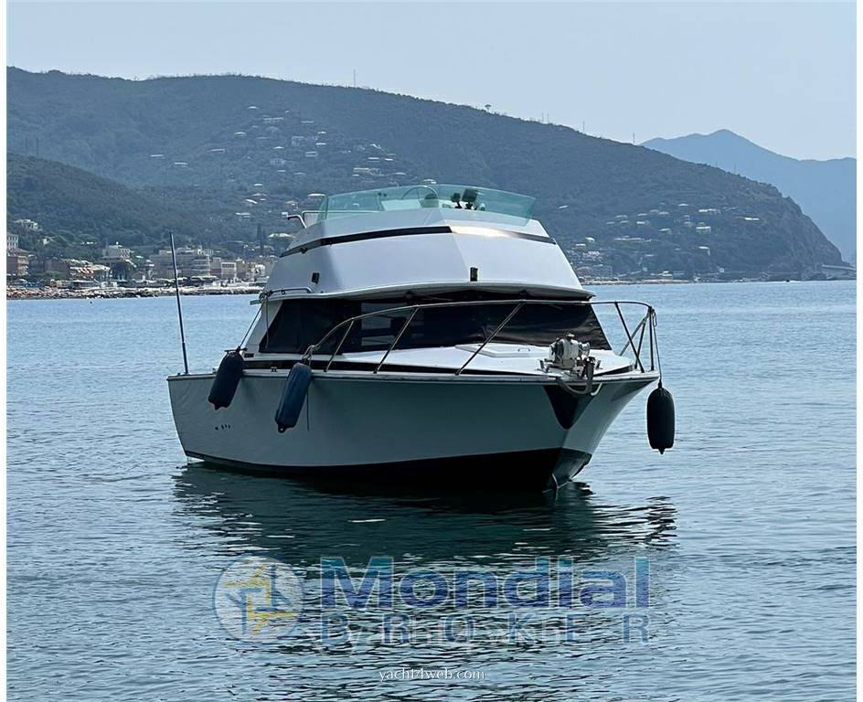 Bertram Convertible 28 Motor boat used for sale