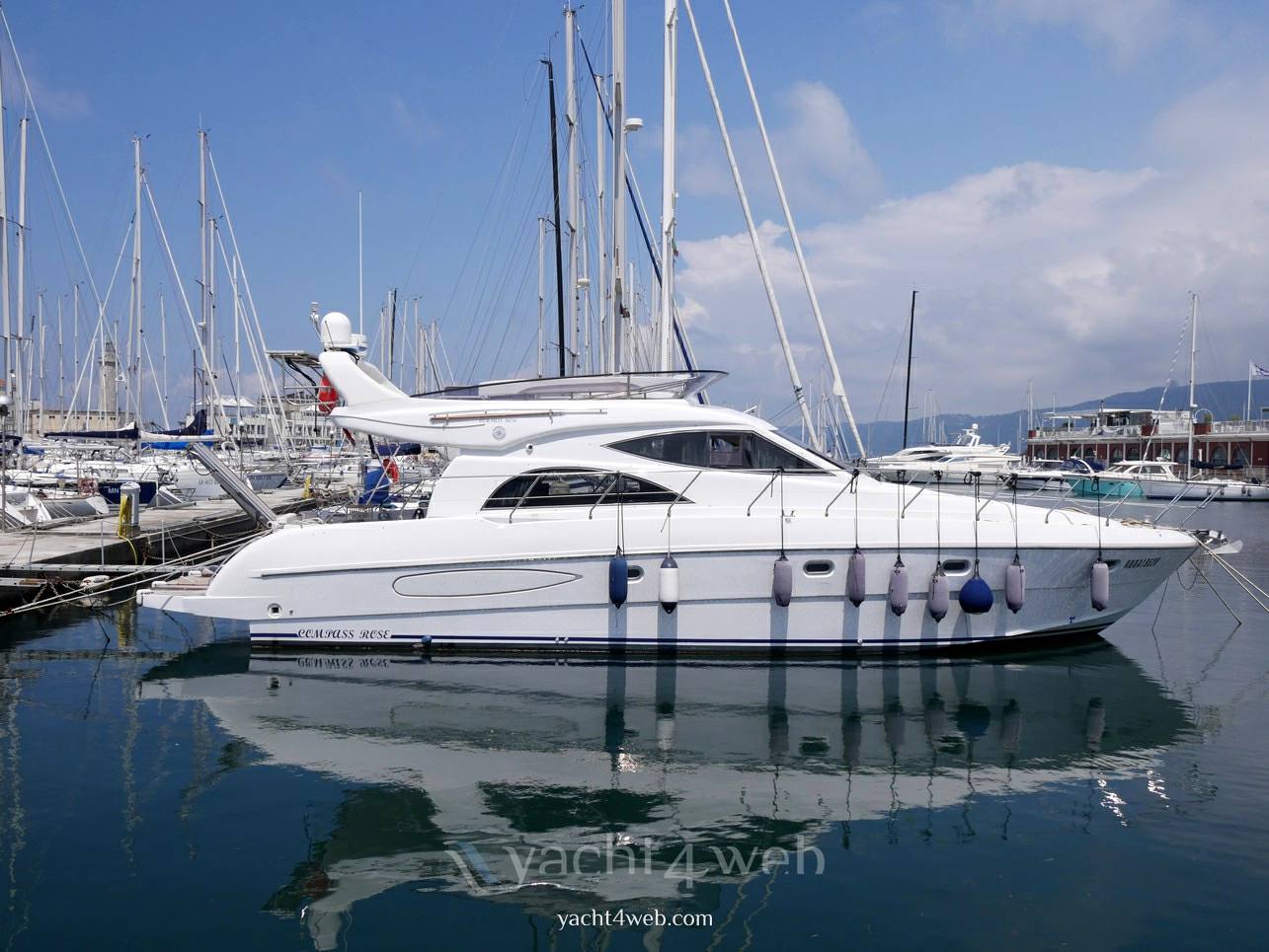 Raffaelli Compass rose 50