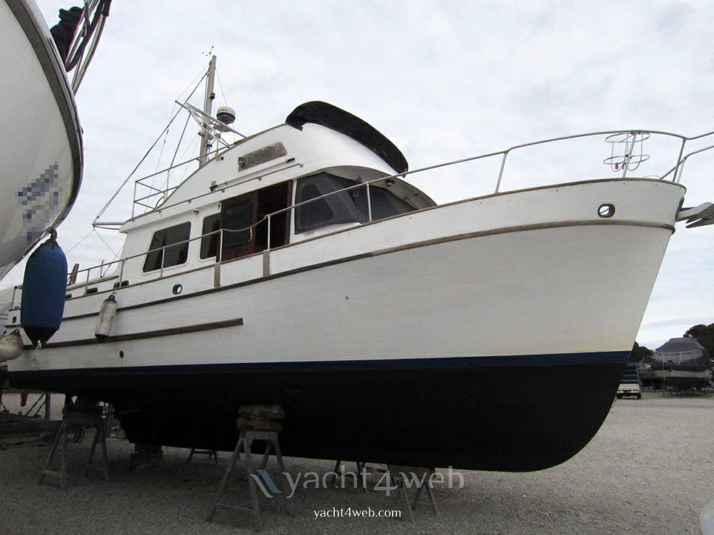 Sconosciuto Ams trawler 40