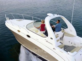 Sea ray 315 da