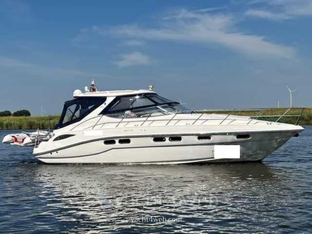 Sealine S42