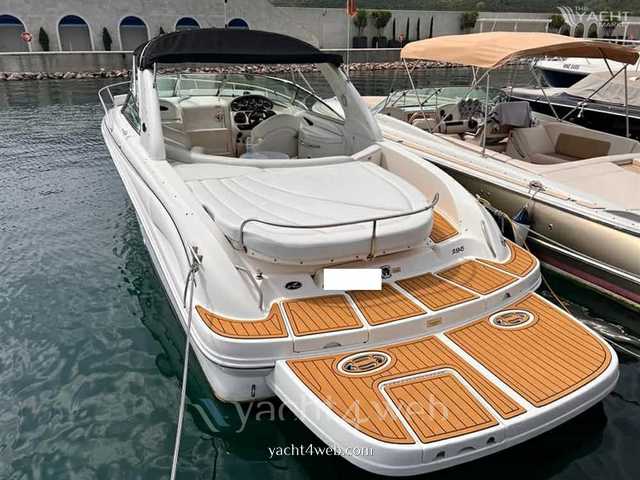 Sea ray Andjela 295