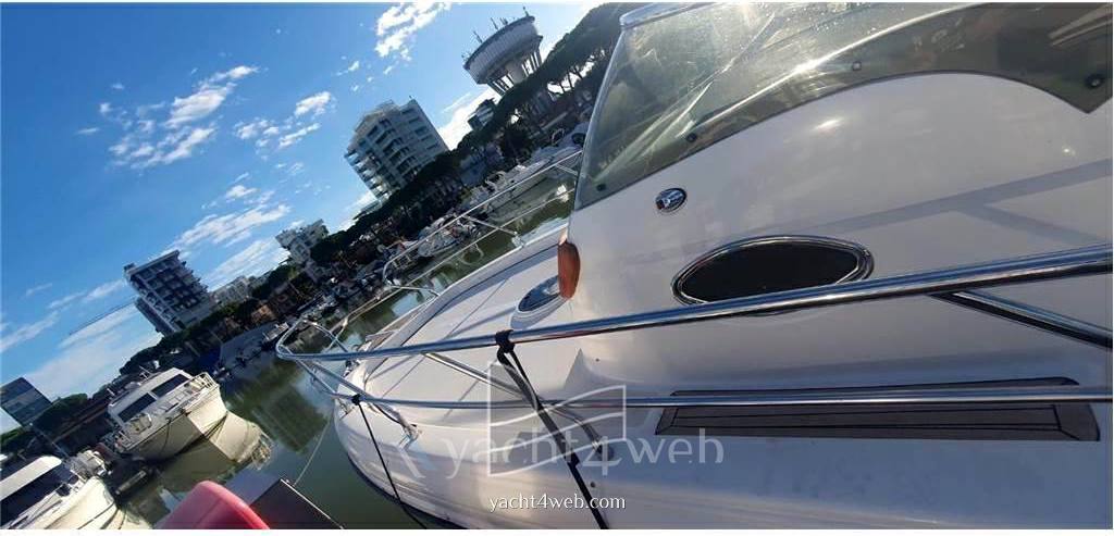 Ranieri international Shadow 30