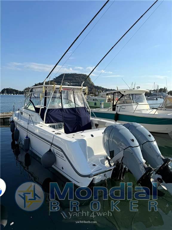 Boston whaler 295conquest Barca a motore usata in vendita
