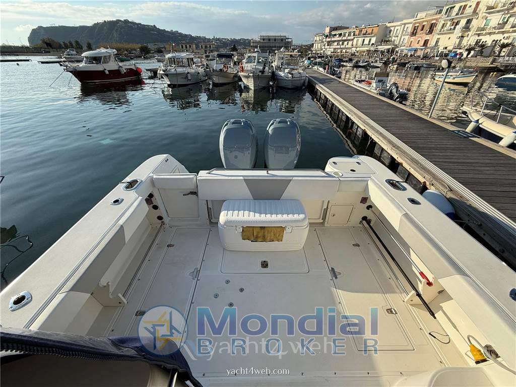 Boston whaler 295conquest usato