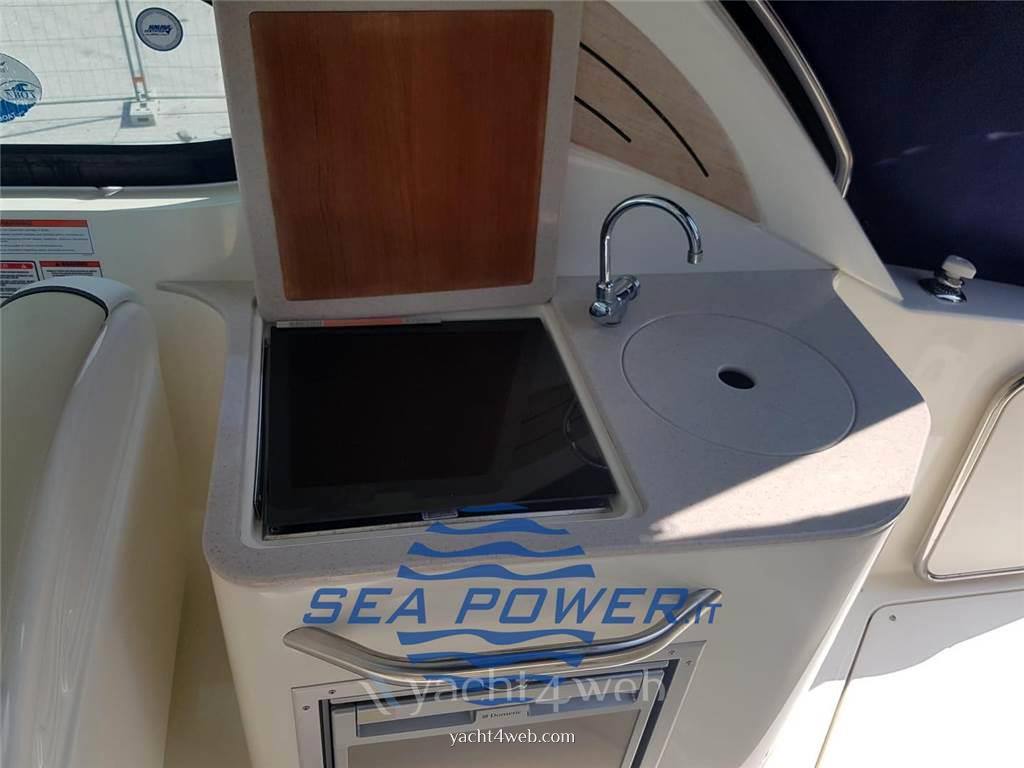 Sea ray Sundancer 305 open
