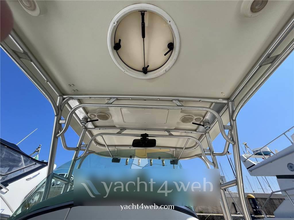 Hydra Sports - vector express 3300 vx occasion