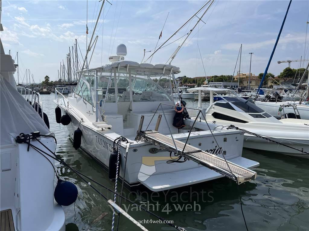 Albemarle 360 espress Express Cruiser